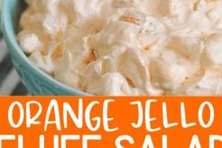 Jello Salad Recipes Without Cottage Cheese Quick Salad Recipes for Healthy Salad Ideas to Boost Your Nutrition Jello Salad Recipes Without Cottage Cheese | Quick Salad Recipes for Healthy Salad Ideas to Boost Your Nutrition