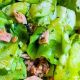 Easy Tuna & Lettuce Salad Recipe: Quick & Healthy | Quick Salad Recipes for Healthy Salad Ideas to Boost Your Nutrition