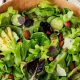 Best Good Garden Salad Recipes for Summer | Quick Salad Recipes for Healthy Salad Ideas to Boost Your Nutrition