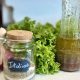 Classic Good Seasons Salad Dressing Recipe & Tips | Quick Salad Recipes for Healthy Salad Ideas to Boost Your Nutrition