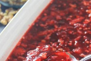 Festive Cranberry Salad Jello Recipe for Holidays | Quick Salad Recipes for Healthy Salad Ideas to Boost Your Nutrition
