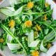 Best Dandelion Salad Recipe: A Forager's Delight | Quick Salad Recipes for Healthy Salad Ideas to Boost Your Nutrition