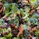 Best Broccoli Raisin Salad Recipe Ever | Quick Salad Recipes for Healthy Salad Ideas to Boost Your Nutrition