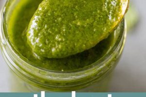 Recipe For Basil Salad Dressing Quick Salad Recipes for Healthy Salad Ideas to Boost Your Nutrition Recipe For Basil Salad Dressing | Quick Salad Recipes for Healthy Salad Ideas to Boost Your Nutrition