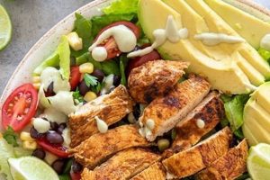 Best Southwestern Chicken Salad Recipe Ever Quick Salad Recipes for Healthy Salad Ideas to Boost Your Nutrition Best Southwestern Chicken Salad Recipe Ever | Quick Salad Recipes for Healthy Salad Ideas to Boost Your Nutrition