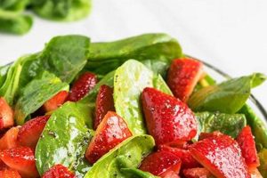 Spinach And Strawberry Salad Dressing Recipe Quick Salad Recipes for Healthy Salad Ideas to Boost Your Nutrition Spinach And Strawberry Salad Dressing Recipe | Quick Salad Recipes for Healthy Salad Ideas to Boost Your Nutrition