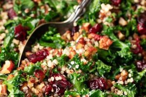 Healthy Kale Quinoa Salad Recipe & Dressing Ideas Quick Salad Recipes for Healthy Salad Ideas to Boost Your Nutrition Healthy Kale Quinoa Salad Recipe & Dressing Ideas | Quick Salad Recipes for Healthy Salad Ideas to Boost Your Nutrition