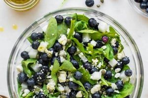 Easy Spinach & Blueberry Salad Recipe | Quick Salad Recipes for Healthy Salad Ideas to Boost Your Nutrition