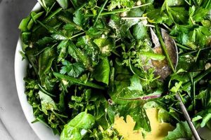 Fresh Herb Salad Recipes & Ideas | Quick Salad Recipes for Healthy Salad Ideas to Boost Your Nutrition