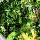 Fresh Herb Salad Recipes & Ideas | Quick Salad Recipes for Healthy Salad Ideas to Boost Your Nutrition