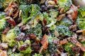 Best Broccoli Salad Recipe with Raisins | Quick Salad Recipes for Healthy Salad Ideas to Boost Your Nutrition