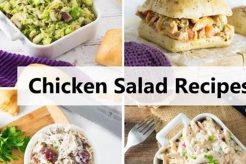 Best & Easy Different Chicken Salad Recipes Quick Salad Recipes for Healthy Salad Ideas to Boost Your Nutrition Best & Easy Different Chicken Salad Recipes | Quick Salad Recipes for Healthy Salad Ideas to Boost Your Nutrition