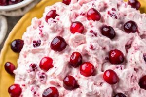 Classic Cranberry Fluff Salad Recipe Quick Salad Recipes for Healthy Salad Ideas to Boost Your Nutrition Classic Cranberry Fluff Salad Recipe | Quick Salad Recipes for Healthy Salad Ideas to Boost Your Nutrition