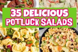Best Easy Salad Recipes for a Potluck Crowd Quick Salad Recipes for Healthy Salad Ideas to Boost Your Nutrition Best Easy Salad Recipes for a Potluck Crowd | Quick Salad Recipes for Healthy Salad Ideas to Boost Your Nutrition