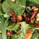 Best Gourmet Salad Recipes & Ideas | Quick Salad Recipes for Healthy Salad Ideas to Boost Your Nutrition