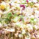 Easy & Healthy Canned Chicken Salad Recipe | Quick Salad Recipes for Healthy Salad Ideas to Boost Your Nutrition