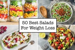 Top 5 Salad Recipes for Weight Loss Success Quick Salad Recipes for Healthy Salad Ideas to Boost Your Nutrition Top 5 Salad Recipes for Weight Loss Success | Quick Salad Recipes for Healthy Salad Ideas to Boost Your Nutrition