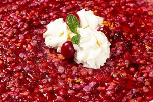 Easy Cranberry Raspberry Jello Salad Recipe | Quick Salad Recipes for Healthy Salad Ideas to Boost Your Nutrition