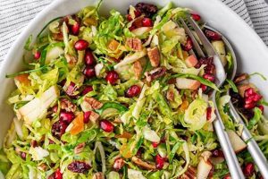 Best Brussels Sprouts Salad Recipe Ever! Quick Salad Recipes for Healthy Salad Ideas to Boost Your Nutrition Best Brussels Sprouts Salad Recipe Ever! | Quick Salad Recipes for Healthy Salad Ideas to Boost Your Nutrition