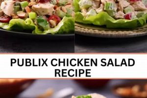 Best Publix Cransational Chicken Salad Recipe Copycat | Quick Salad Recipes for Healthy Salad Ideas to Boost Your Nutrition