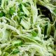 Easy Cabbage & Cucumber Salad Recipe (Quick & Healthy) | Quick Salad Recipes for Healthy Salad Ideas to Boost Your Nutrition