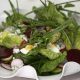 Classic Authentic Irish Salad Recipes to Try | Quick Salad Recipes for Healthy Salad Ideas to Boost Your Nutrition