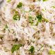 The Best Shredded Chicken Salad Recipe Ever | Quick Salad Recipes for Healthy Salad Ideas to Boost Your Nutrition