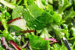 Best Tossed Green Salad Recipes for Summer | Quick Salad Recipes for Healthy Salad Ideas to Boost Your Nutrition