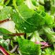 Best Tossed Green Salad Recipes for Summer | Quick Salad Recipes for Healthy Salad Ideas to Boost Your Nutrition