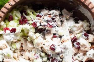 The Best Cranberry Pecan Chicken Salad Ever Quick Salad Recipes for Healthy Salad Ideas to Boost Your Nutrition The Best Cranberry Pecan Chicken Salad Ever | Quick Salad Recipes for Healthy Salad Ideas to Boost Your Nutrition