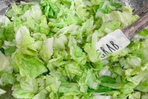 Best Iceberg Salad Recipes: Easy & Delicious Quick Salad Recipes for Healthy Salad Ideas to Boost Your Nutrition Best Iceberg Salad Recipes: Easy & Delicious | Quick Salad Recipes for Healthy Salad Ideas to Boost Your Nutrition