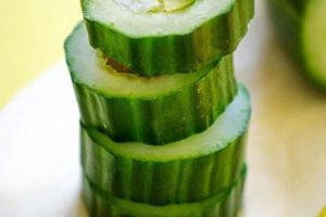 Easy Cucumber Salad Sushi Recipe & Guide Quick Salad Recipes for Healthy Salad Ideas to Boost Your Nutrition Easy Cucumber Salad Sushi Recipe & Guide | Quick Salad Recipes for Healthy Salad Ideas to Boost Your Nutrition