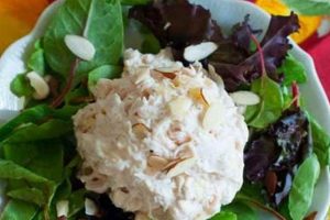 Copycat Jason's Deli Chicken Salad Recipe Quick Salad Recipes for Healthy Salad Ideas to Boost Your Nutrition Copycat Jason's Deli Chicken Salad Recipe | Quick Salad Recipes for Healthy Salad Ideas to Boost Your Nutrition