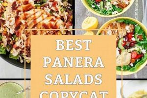 Copycat Panera Salad Recipes: Easy & Healthy | Quick Salad Recipes for Healthy Salad Ideas to Boost Your Nutrition