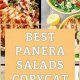 Copycat Panera Salad Recipes: Easy & Healthy | Quick Salad Recipes for Healthy Salad Ideas to Boost Your Nutrition