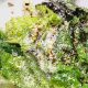 Best Romaine Lettuce Salad Recipe Ever! | Quick Salad Recipes for Healthy Salad Ideas to Boost Your Nutrition