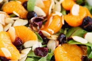 Fresh & Zesty Orange Salad Recipes Quick Salad Recipes for Healthy Salad Ideas to Boost Your Nutrition Fresh & Zesty Orange Salad Recipes | Quick Salad Recipes for Healthy Salad Ideas to Boost Your Nutrition