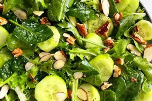 Quick & Easy Green Salad Recipes for You Quick Salad Recipes for Healthy Salad Ideas to Boost Your Nutrition Quick & Easy Green Salad Recipes for You | Quick Salad Recipes for Healthy Salad Ideas to Boost Your Nutrition