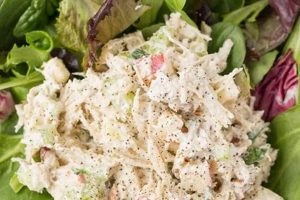 Healthy & Easy Greek Yogurt Chicken Salad Recipes | Quick Salad Recipes for Healthy Salad Ideas to Boost Your Nutrition