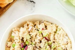 Easy & Healthy Chicken Salad (No Mayo) Recipe Quick Salad Recipes for Healthy Salad Ideas to Boost Your Nutrition Easy & Healthy Chicken Salad (No Mayo) Recipe | Quick Salad Recipes for Healthy Salad Ideas to Boost Your Nutrition