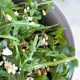 Best Roquette Salad Recipe: Easy & Healthy | Quick Salad Recipes for Healthy Salad Ideas to Boost Your Nutrition