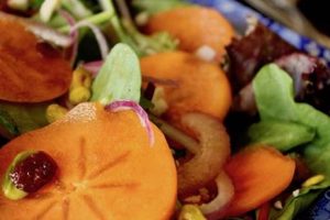 Fresh Fuyu Persimmon Salad Recipes & Ideas Quick Salad Recipes for Healthy Salad Ideas to Boost Your Nutrition Fresh Fuyu Persimmon Salad Recipes & Ideas | Quick Salad Recipes for Healthy Salad Ideas to Boost Your Nutrition