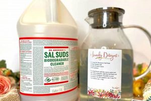 Best Sal Suds Laundry Detergent Recipe DIY | Quick Salad Recipes for Healthy Salad Ideas to Boost Your Nutrition