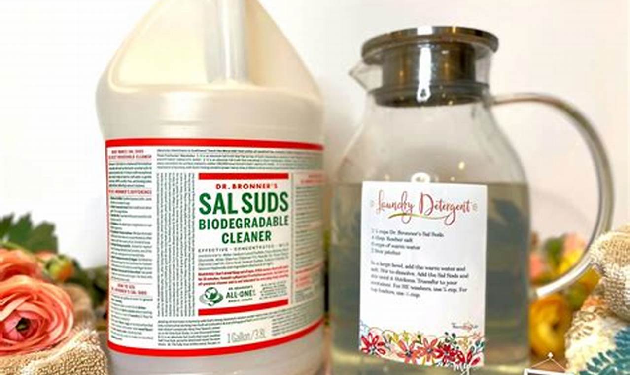 Best Sal Suds Laundry Detergent Recipe DIY | Quick Salad Recipes for Healthy Salad Ideas to Boost Your Nutrition