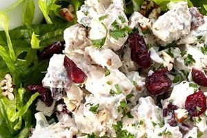 Easy Cranberry Chicken Salad Recipe Quick Salad Recipes for Healthy Salad Ideas to Boost Your Nutrition Easy Cranberry Chicken Salad Recipe | Quick Salad Recipes for Healthy Salad Ideas to Boost Your Nutrition