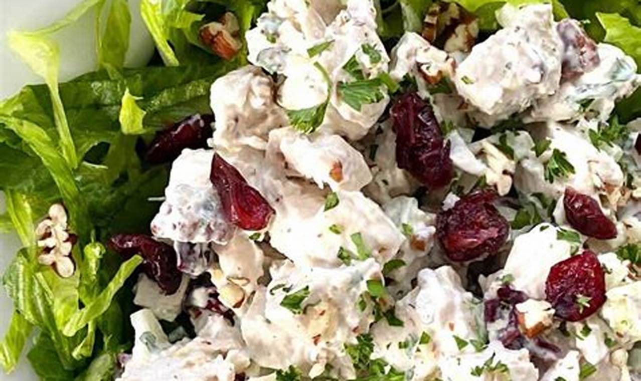 Easy Cranberry Chicken Salad Recipe Quick Salad Recipes for Healthy Salad Ideas to Boost Your Nutrition Easy Cranberry Chicken Salad Recipe | Quick Salad Recipes for Healthy Salad Ideas to Boost Your Nutrition