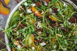 Best Microgreen Salad Recipe: Easy & Healthy Quick Salad Recipes for Healthy Salad Ideas to Boost Your Nutrition Best Microgreen Salad Recipe: Easy & Healthy | Quick Salad Recipes for Healthy Salad Ideas to Boost Your Nutrition