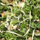 Kale Crunch Salad Recipe | Quick Salad Recipes for Healthy Salad Ideas to Boost Your Nutrition