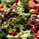 Basic Kale Salad Recipe | Quick Salad Recipes for Healthy Salad Ideas to Boost Your Nutrition
