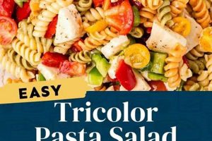 Easy Tri Color Salad Recipe: Healthy & Vibrant | Quick Salad Recipes for Healthy Salad Ideas to Boost Your Nutrition